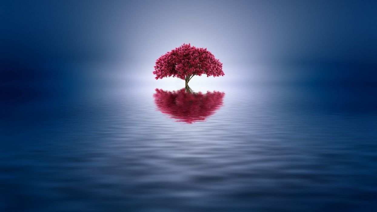 Digital art landscape minimalism nature reflection Trees water wallpaperx1080
