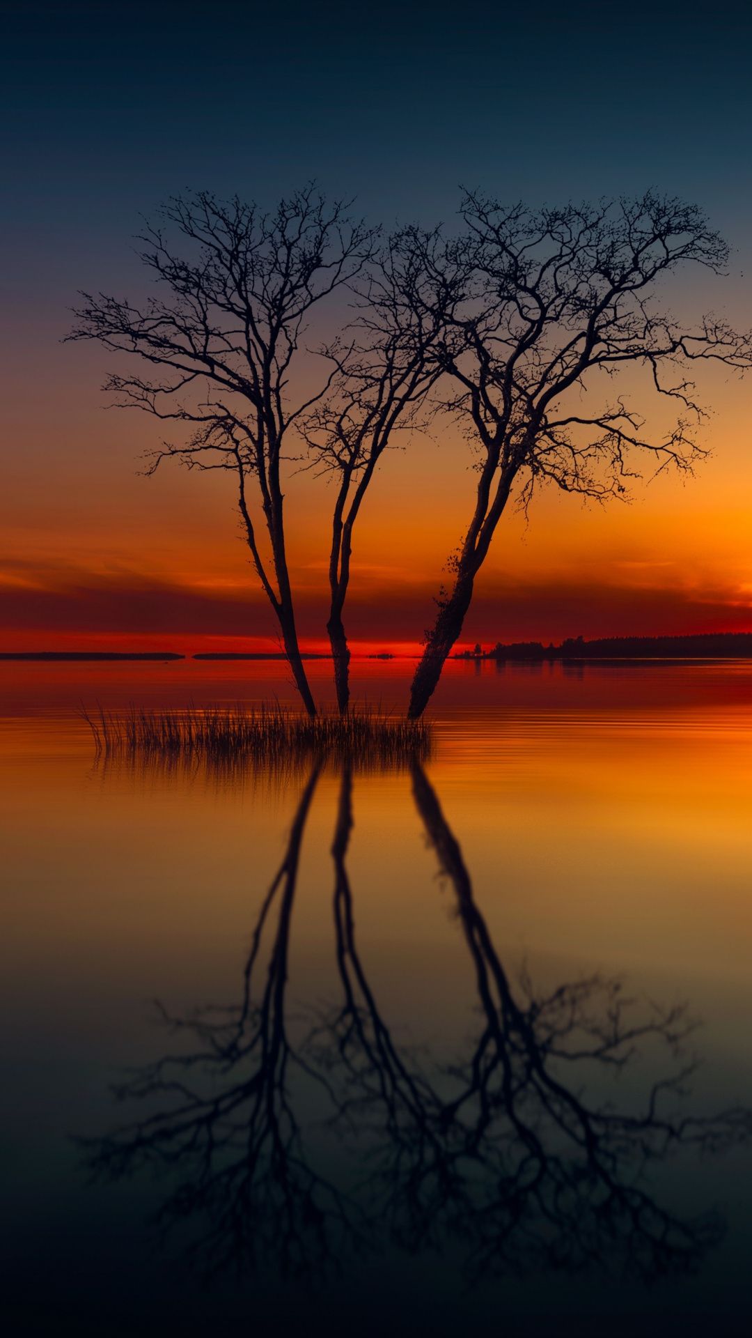 Lake, reflections, sunset, trees, 1080x1920 wallpaper. Wallpaper