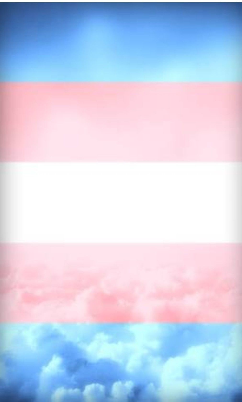 Trans Flag art. Trans flag, Rainbow wallpaper iphone, Flag art