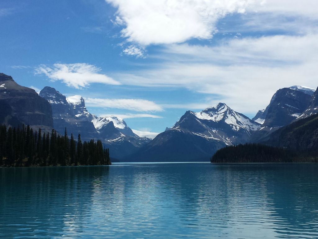 Jasper 4K wallpaper for your desktop or mobile screen free