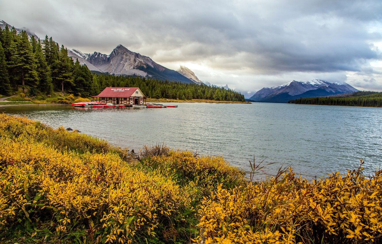Wallpaper forest, clouds, trees, mountains, lake, boats, pier
