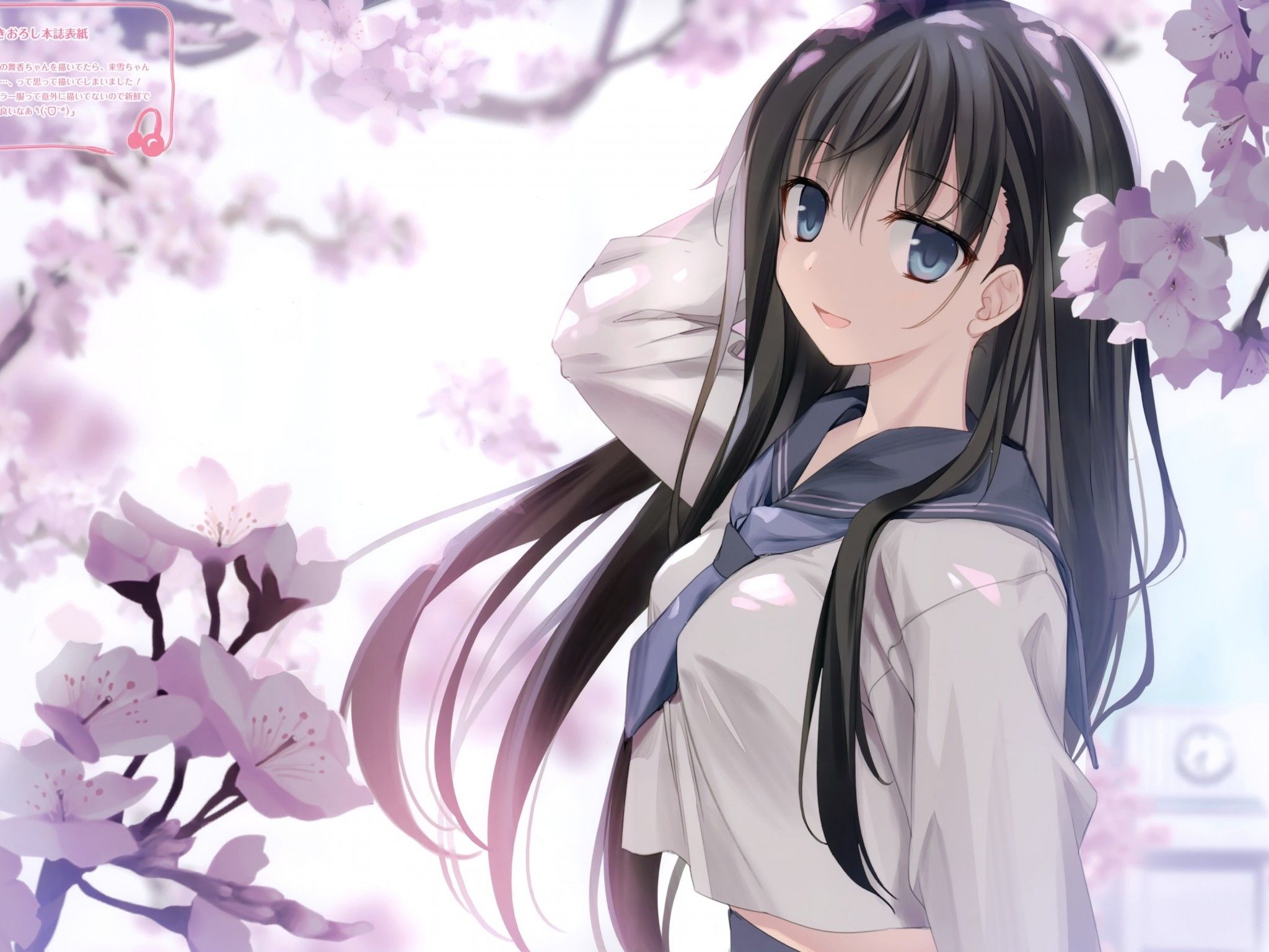 Download 2048x1536 Anime Girl, Cherry Blossom, Black Hair, School