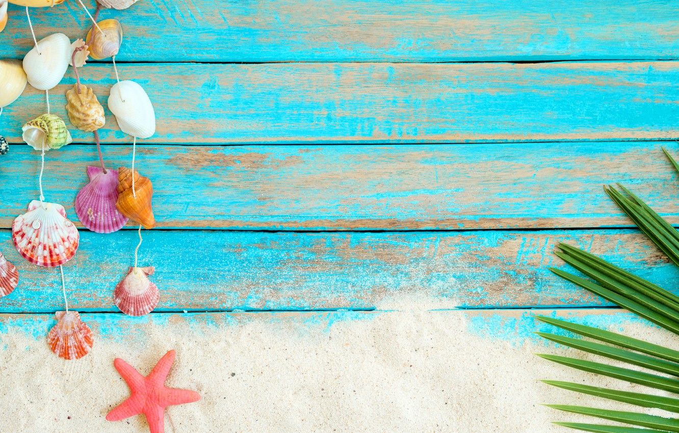 Wallpaper sand, beach, background, Board, star, shell, summer