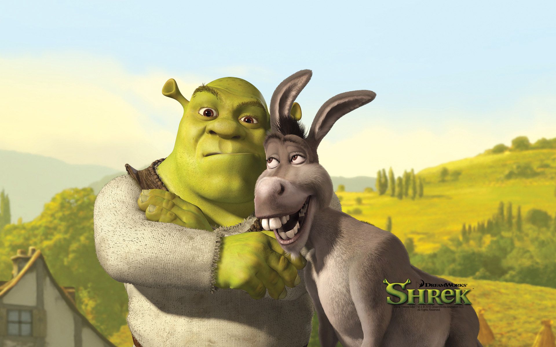 Funny Shrek and Donkey Desktop Wallpapers 64269 1920x1200px
