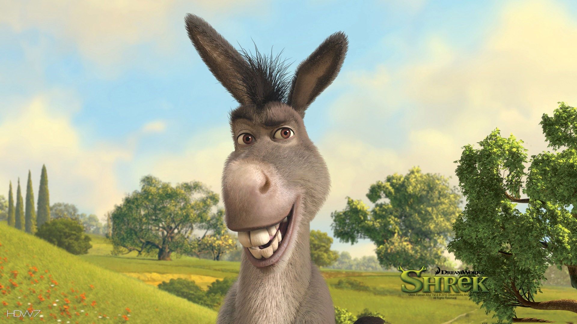 donkey from shrek. HD wallpaper gallery