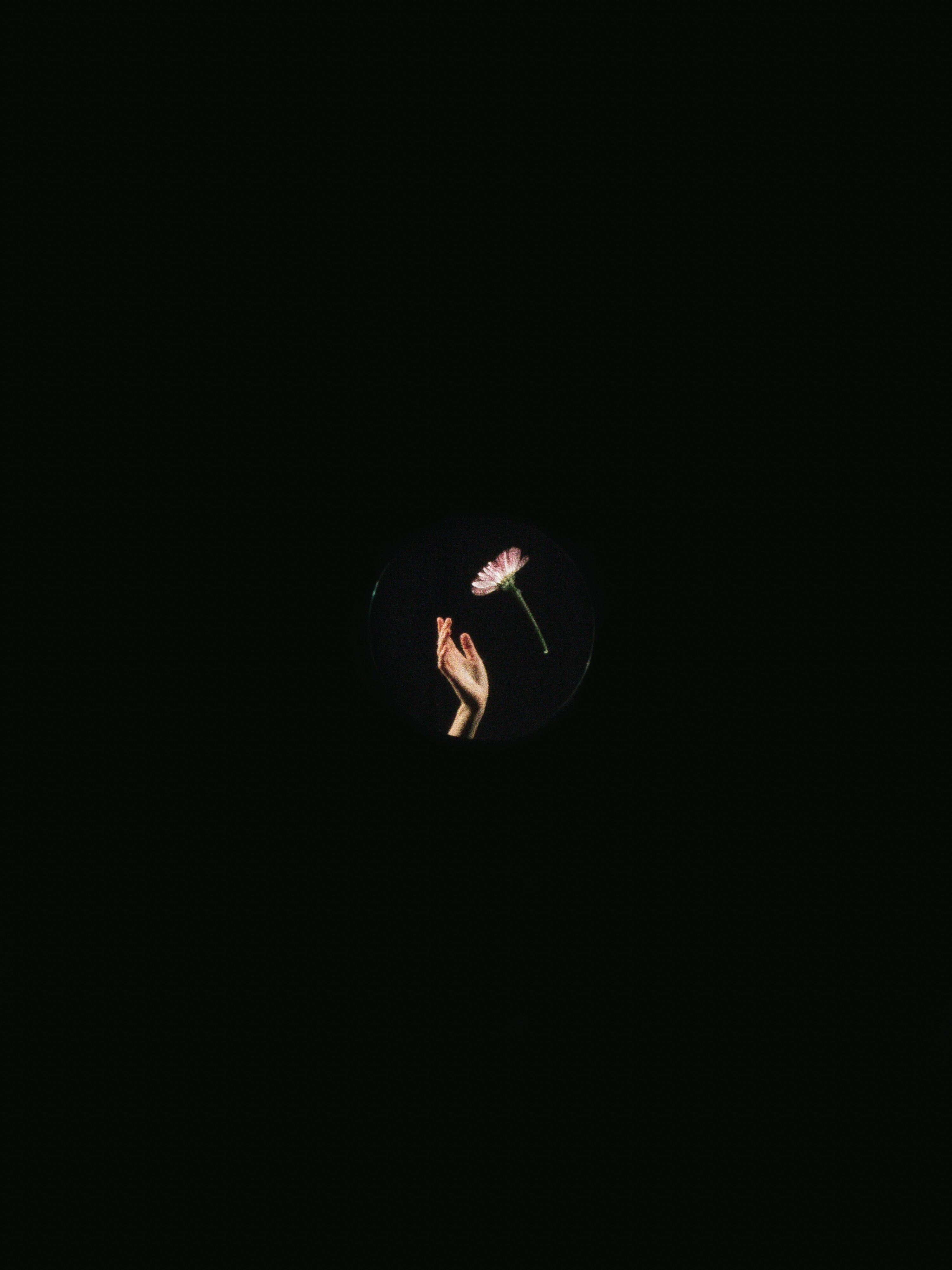 AMOLED Wallpaper [Free Download!]. best free wallpaper