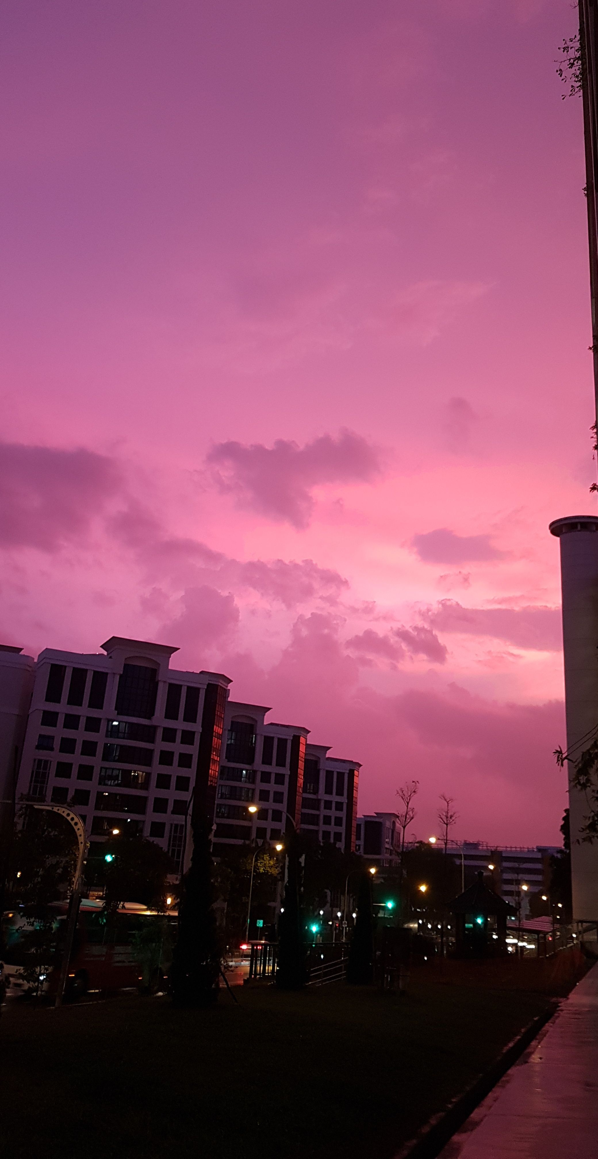 The pink sunset in Singapore yesterday.