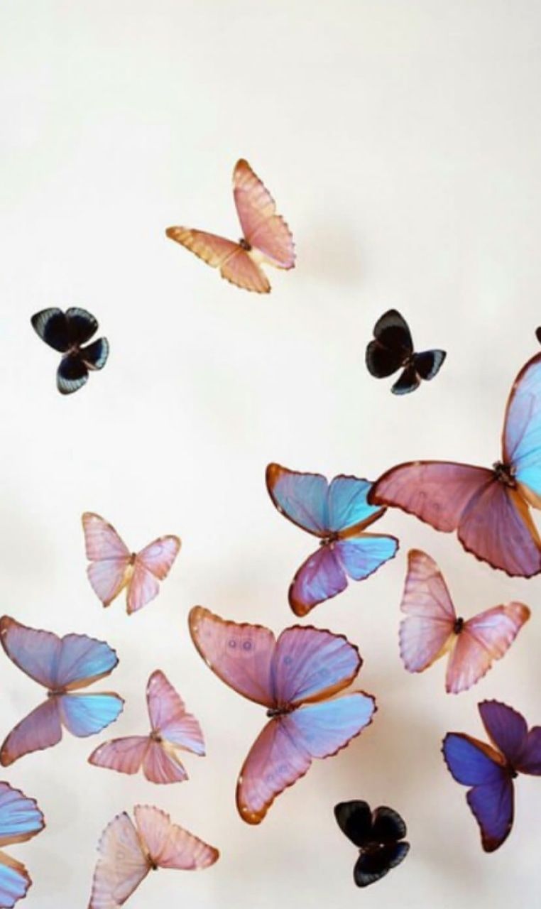 Aesthetic Wallpapers Purple Butterfly - 2021 D04