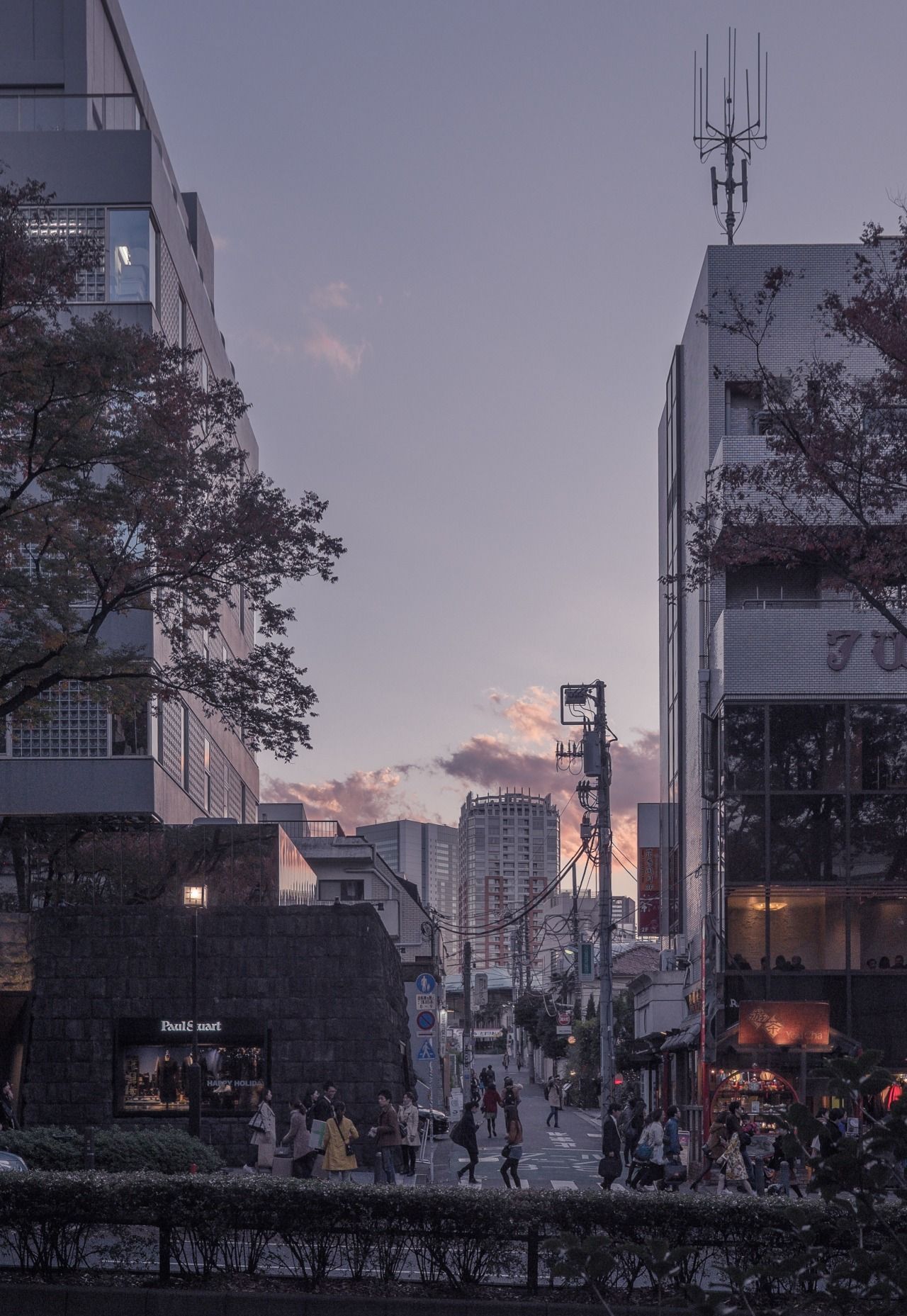 Sunset in Omotesando, Tokyo. City aesthetic, Aesthetic japan, Japan