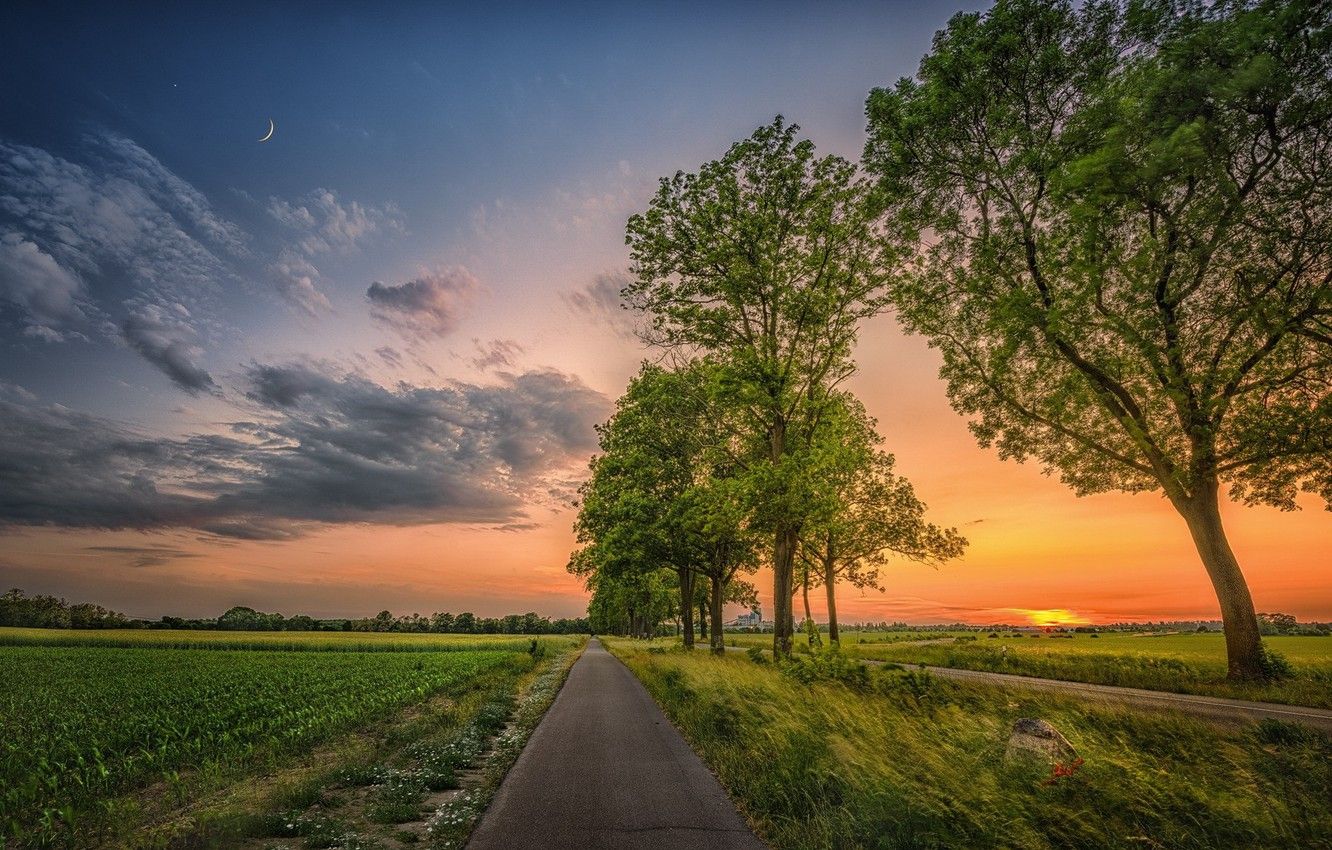 Wallpaper road, field, trees, sunset image for desktop, section