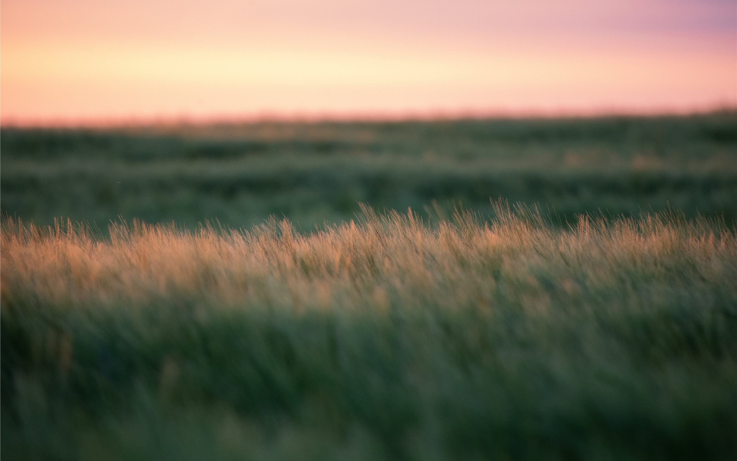 Sunset Field iMac Wallpaper Download