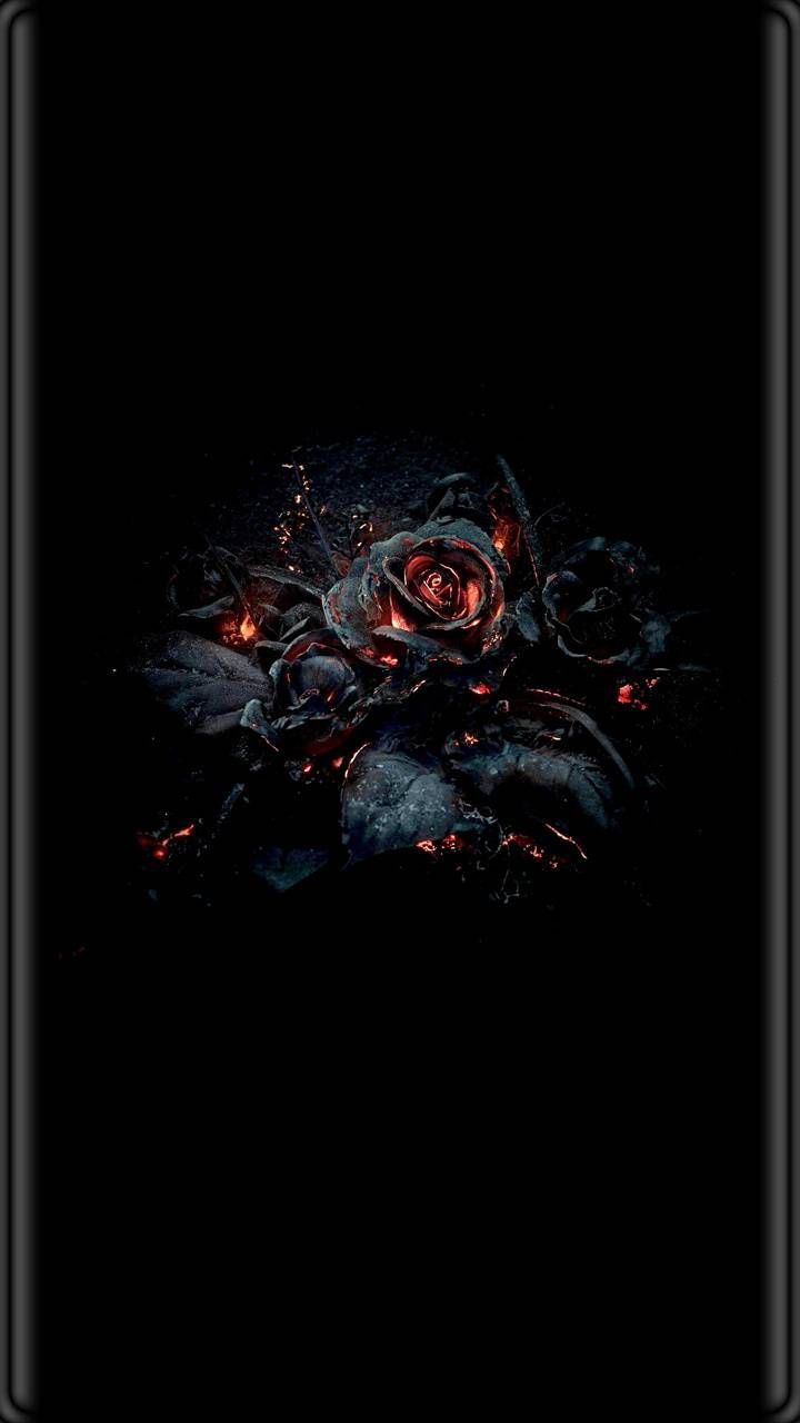 Rose On Fire Wallpaper