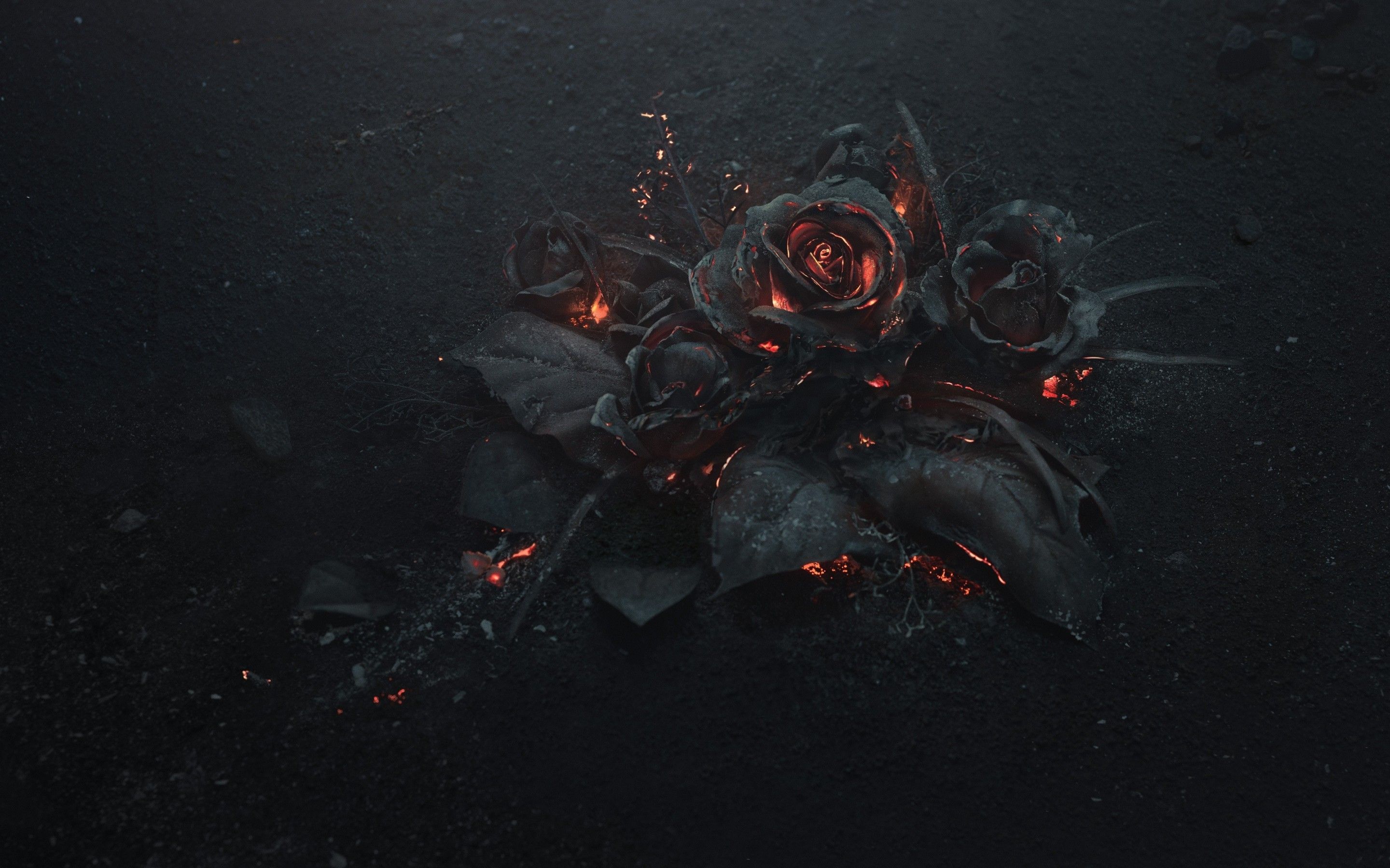 Download 2880x1800 Rose Ashes, Fire, Black, Dark Theme Wallpaper for MacBook Pro 15 inch