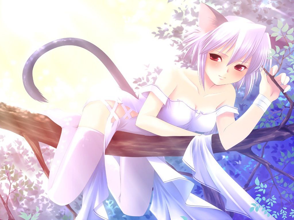 Cute Wallpaper: Neko Wallpaper