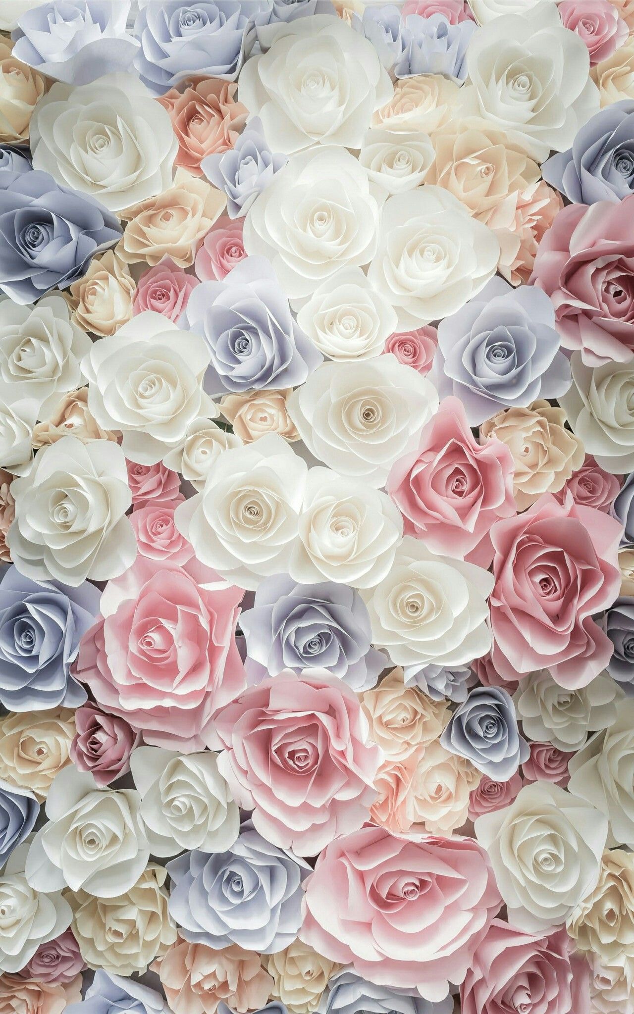 iPhone Wallpaper. Flower, Garden roses, Rose, Cut flowers