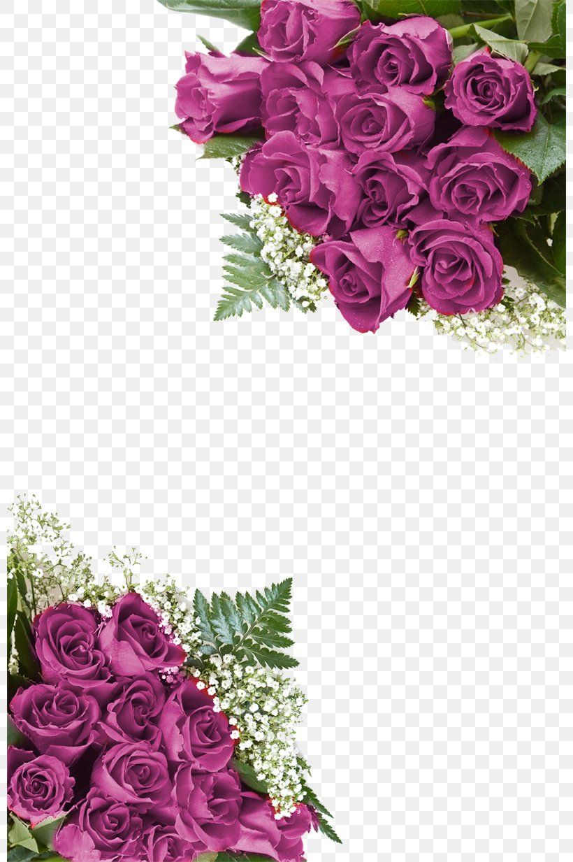 Garden Roses Flower Desktop Wallpaper Clip Art, PNG, 800x1233px