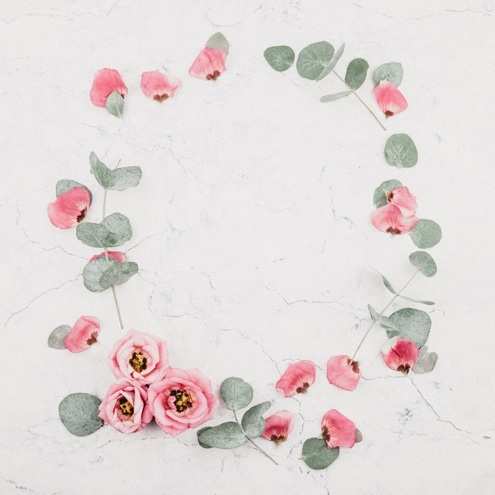 Floral Wallpaper: Free HD Download [HQ]
