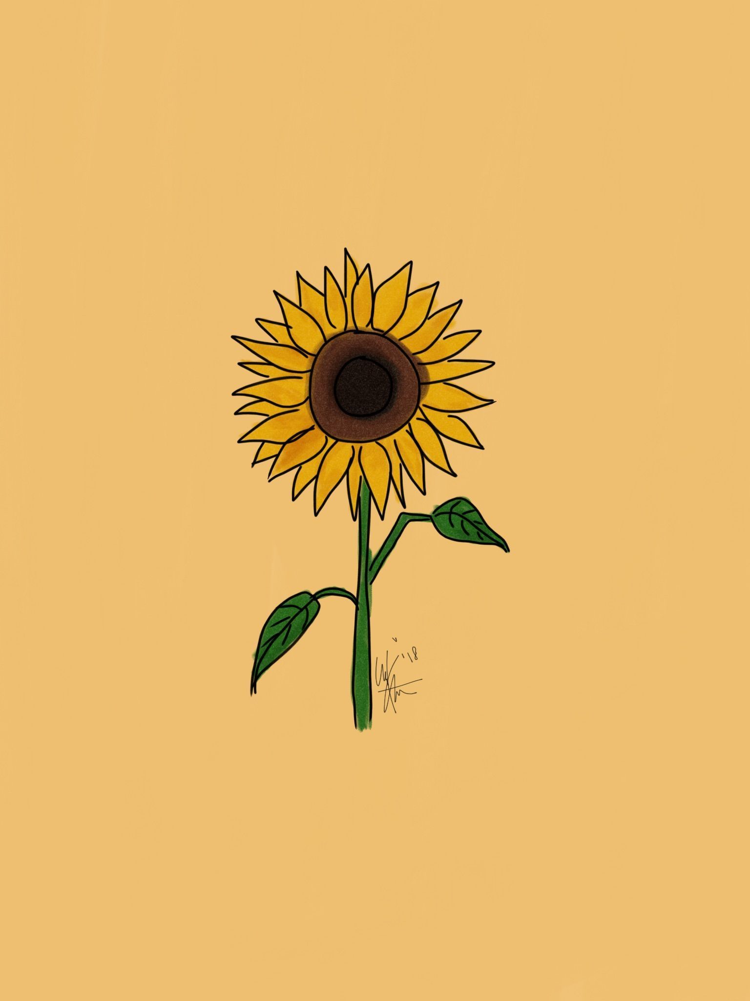 Sunflower Drawing Wallpapers