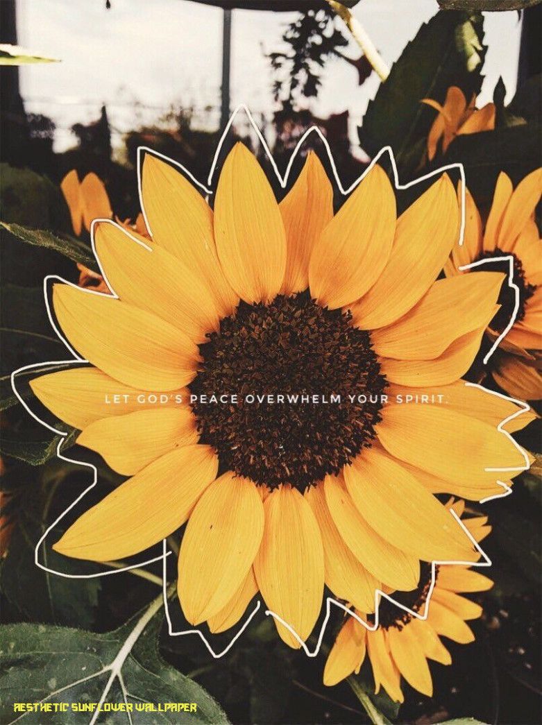Faith. Yellow aesthetic, Sunflower