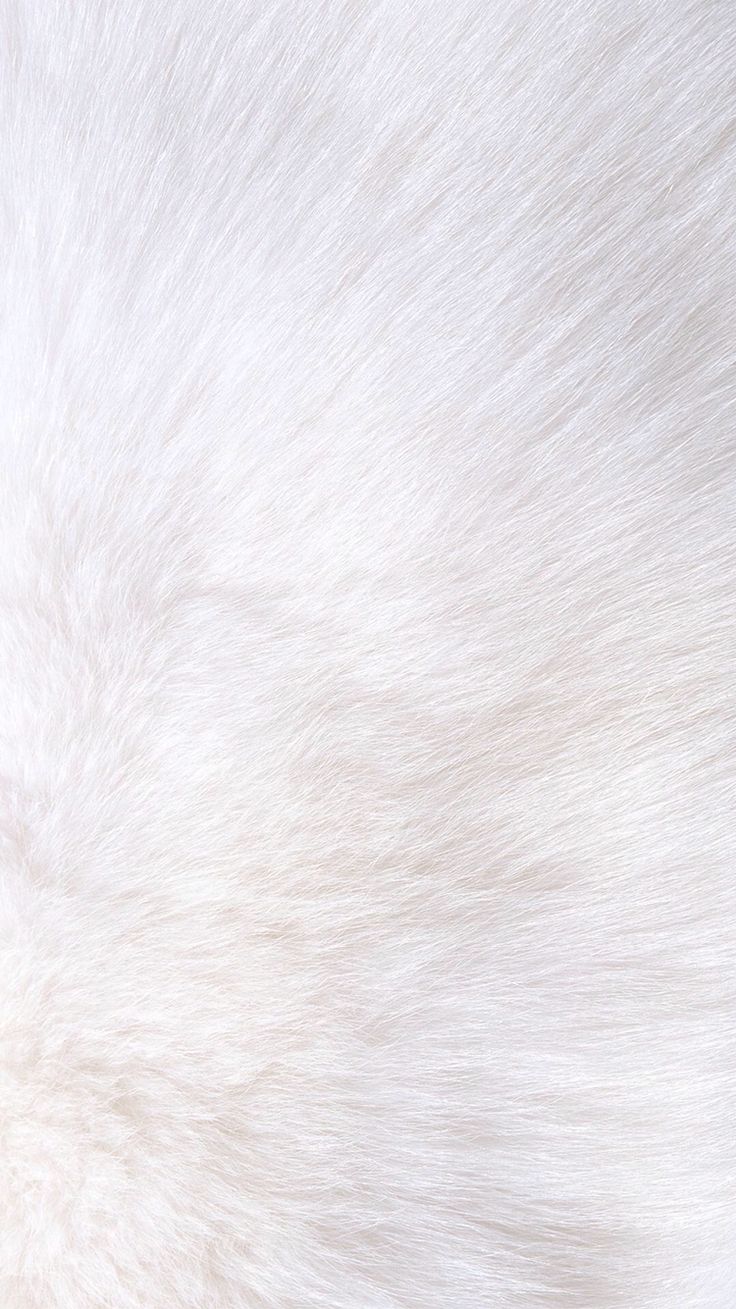 White iPhone Background Fur iPhone Background