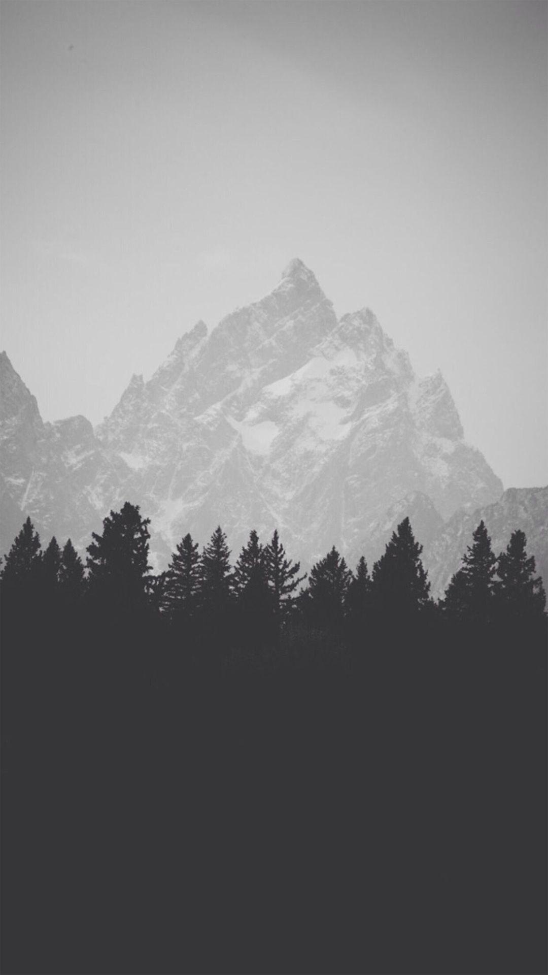 Mountain Top Behind Pine Forest Black And White iPhone HD