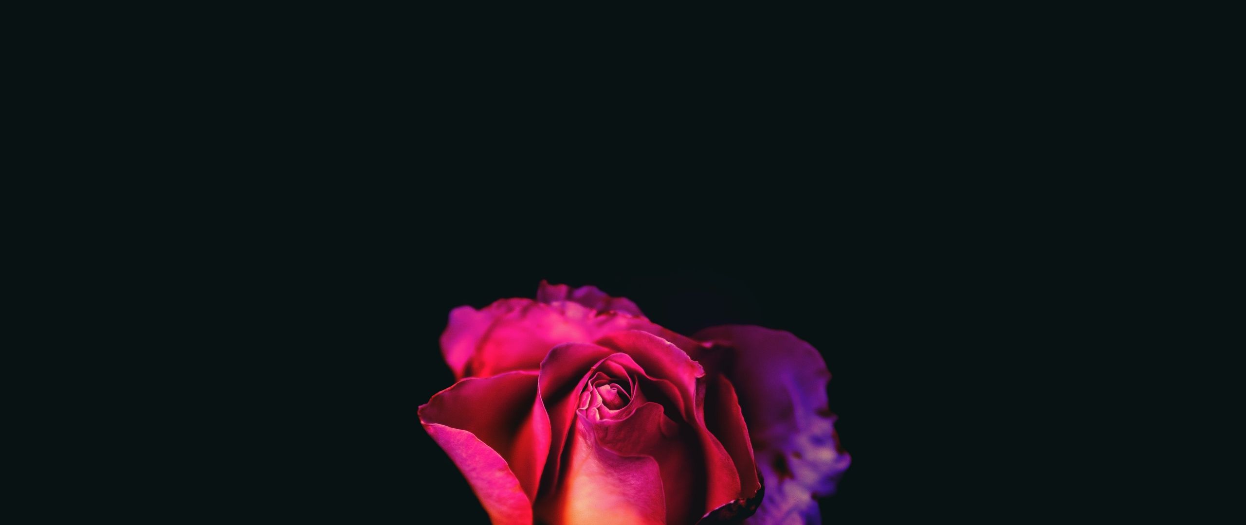 Download Rose Oled Dark 8k Dual Wide display 1080p