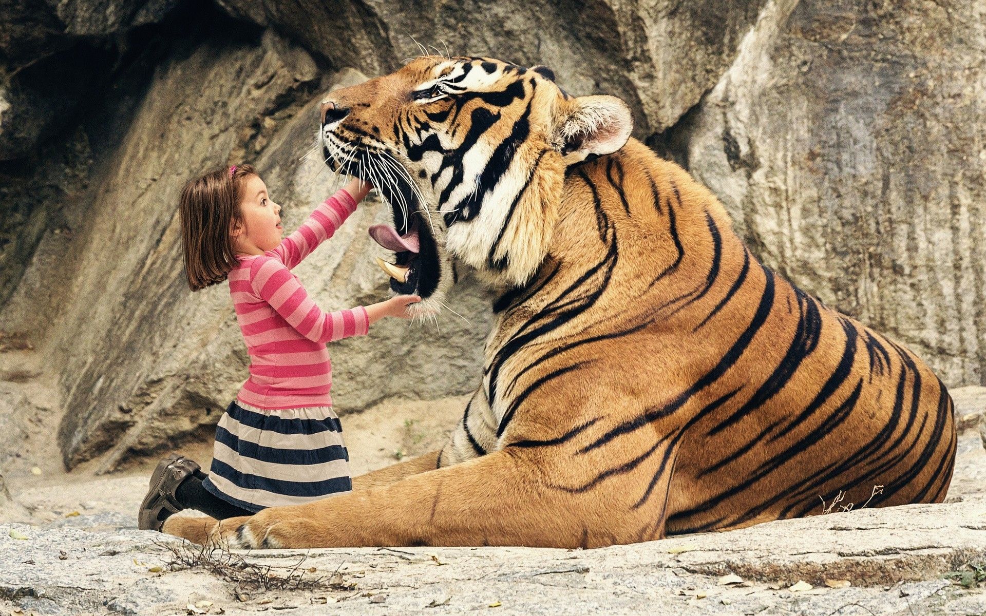 Brave little girl and tiger wallpaper download. Wallpaper