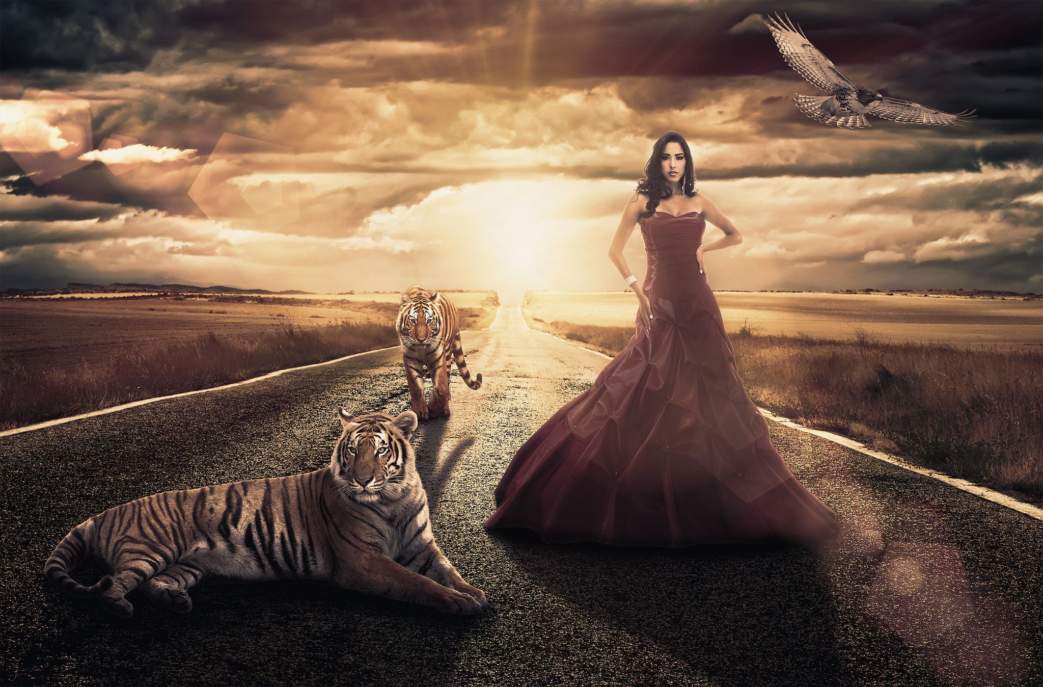 Photo Tigers Big cats Brunette girl Nature Fantasy young 2048x1348