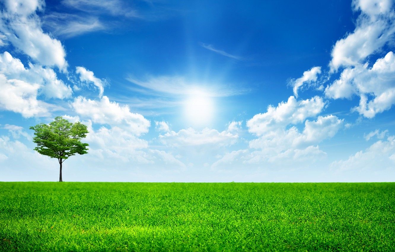 Wallpaper the sky, grass, clouds, tree, green, grass, sky, trees, landscape, All Alone In This World, the sun image for desktop, section пейзажи