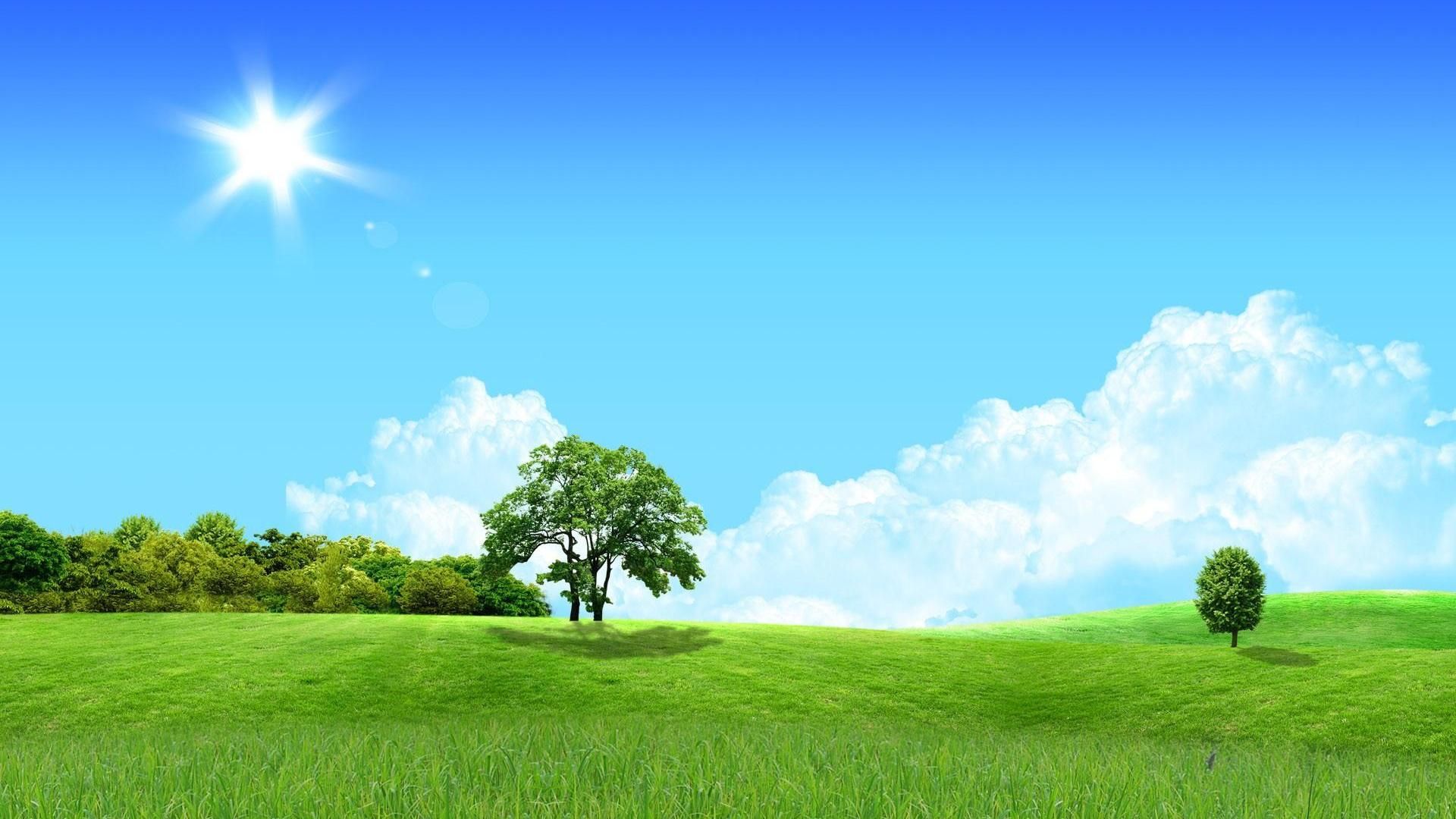 Tree Clouds Grass HD Wallpapers - Wallpaper Cave