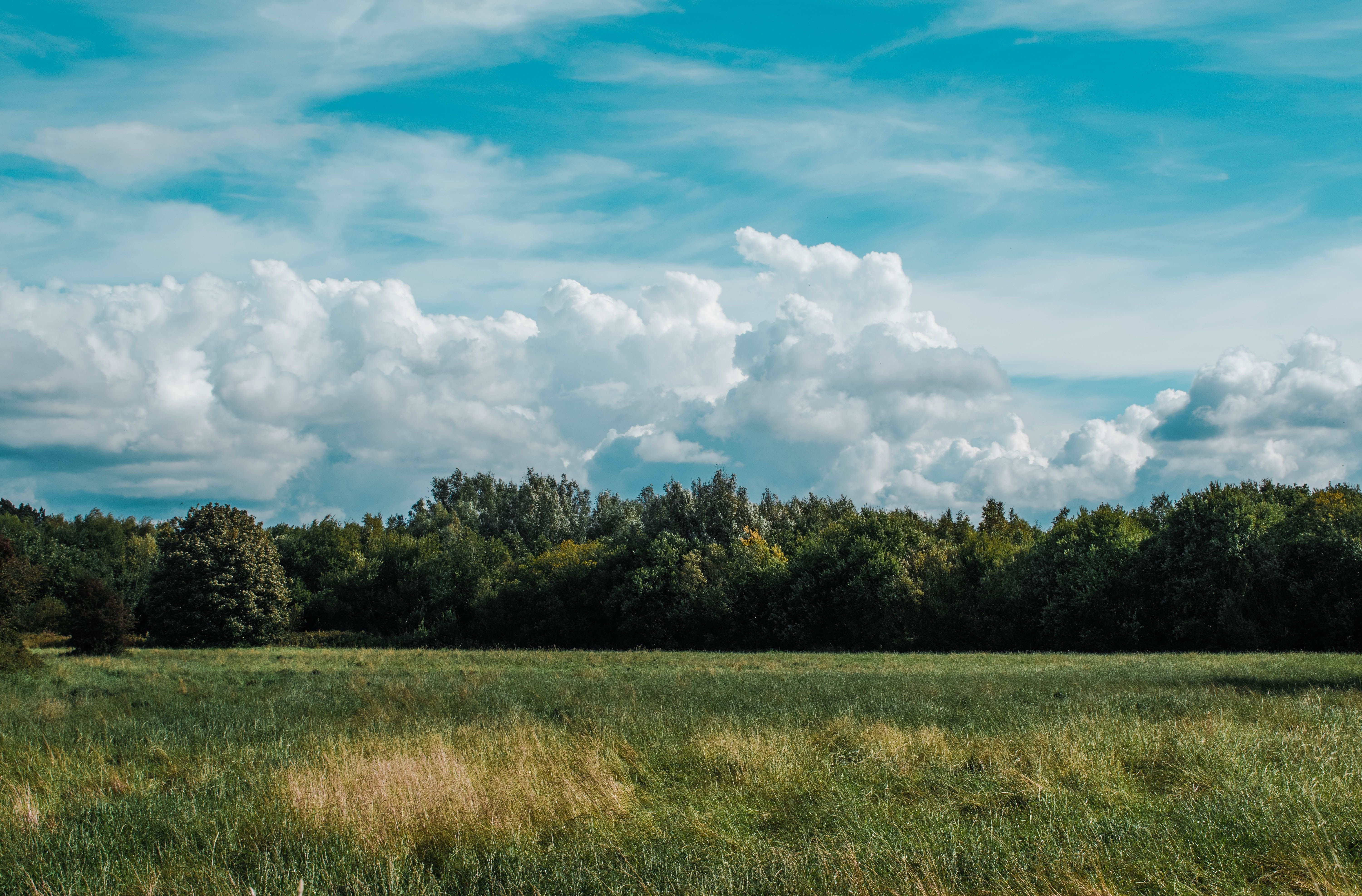 Download wallpaper 6000x3947 field, grass, clouds, trees HD background