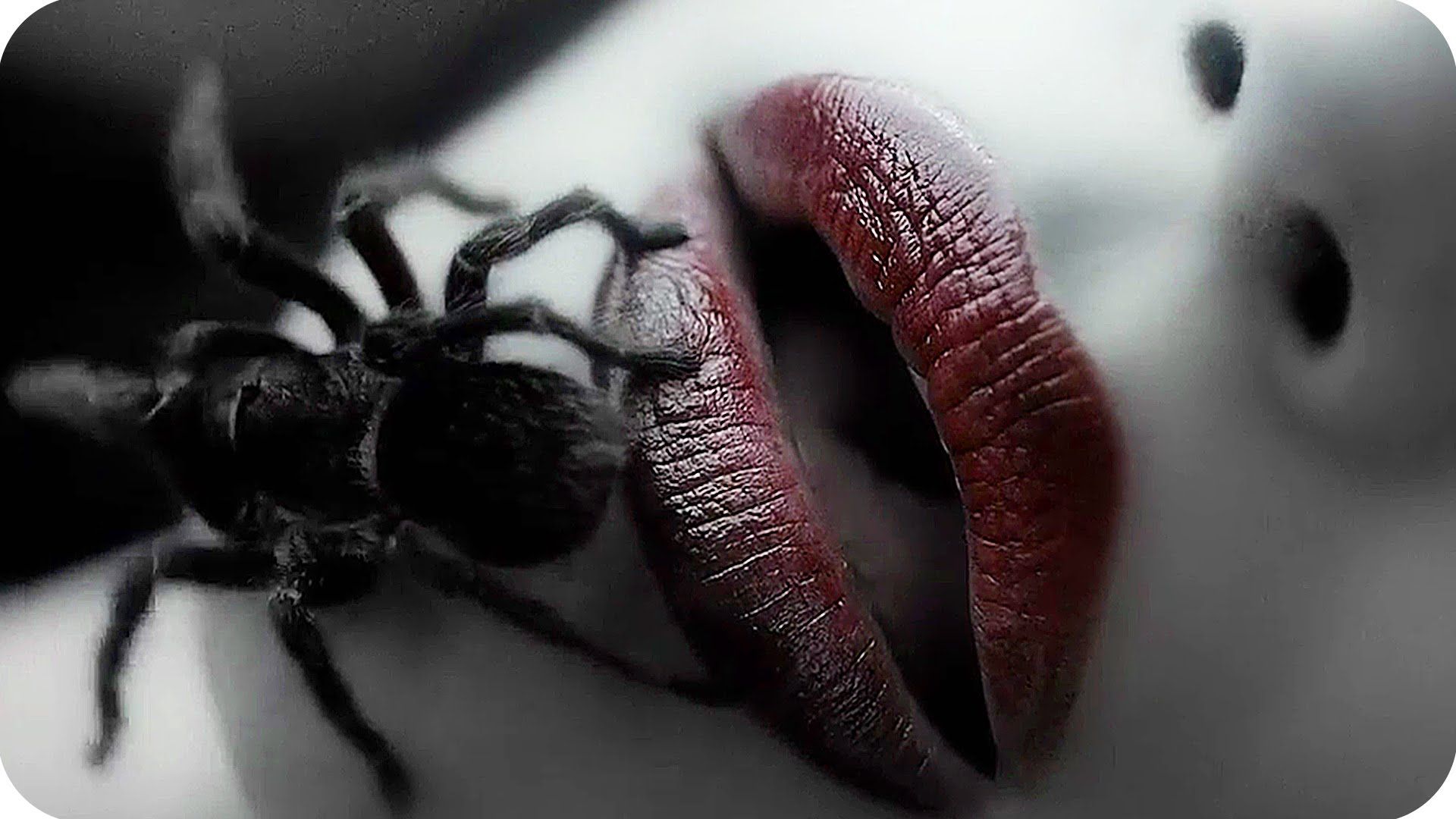 Wallpaper Horror Story Wallpaper