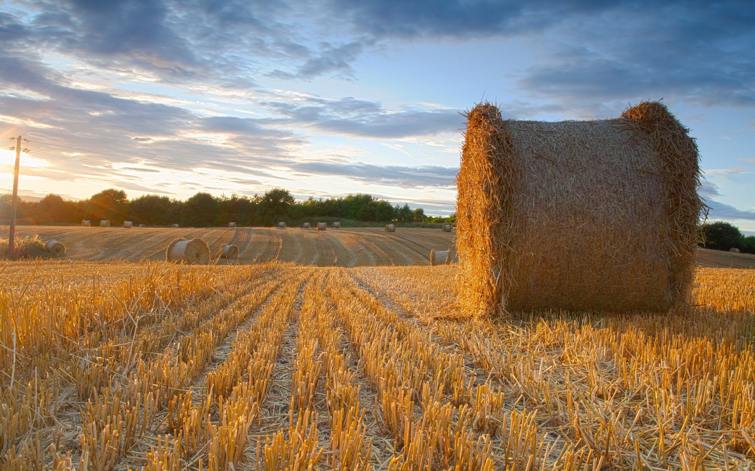 Wallpaper Summer, farm field, hay, clouds, dusk 2560x1600 HD