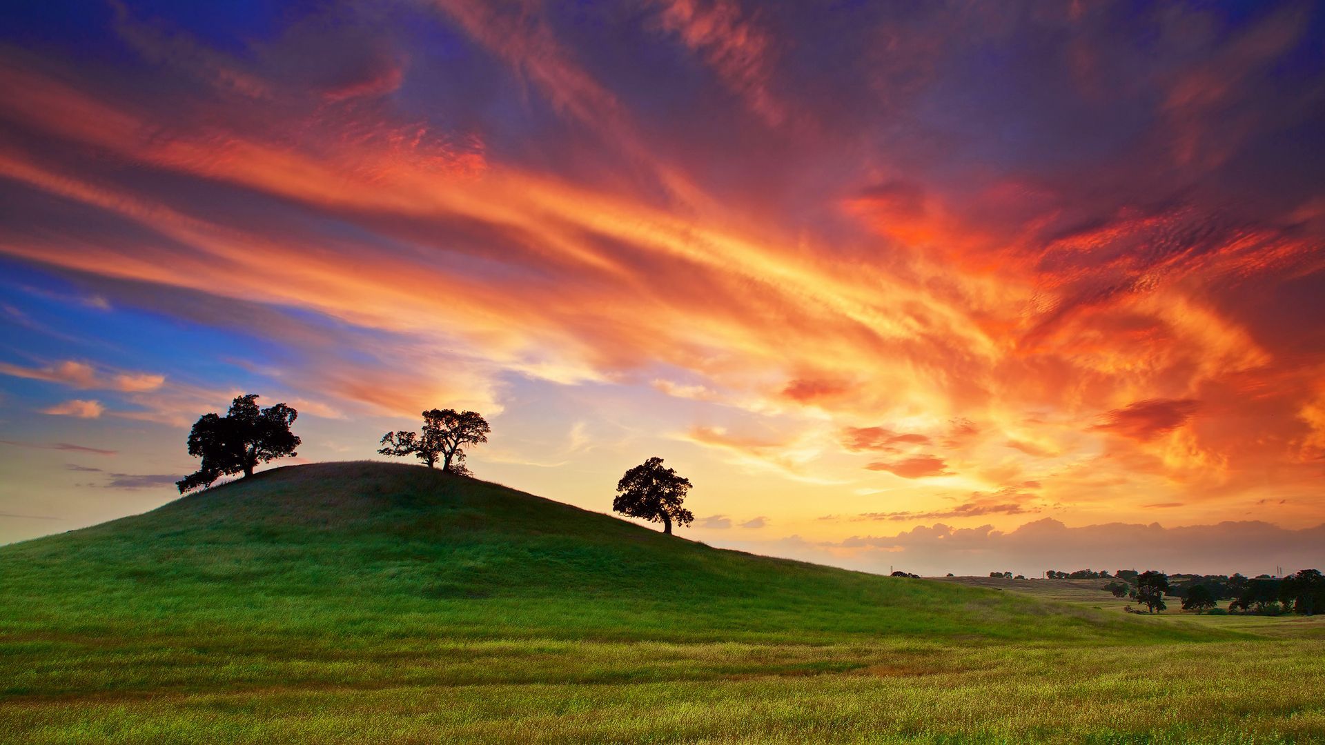 Download wallpaper 1920x1080 usa, california, sunset, spring, may, sky, clouds, field, grass, trees full hd, hdtv, fhd, 1080p HD background