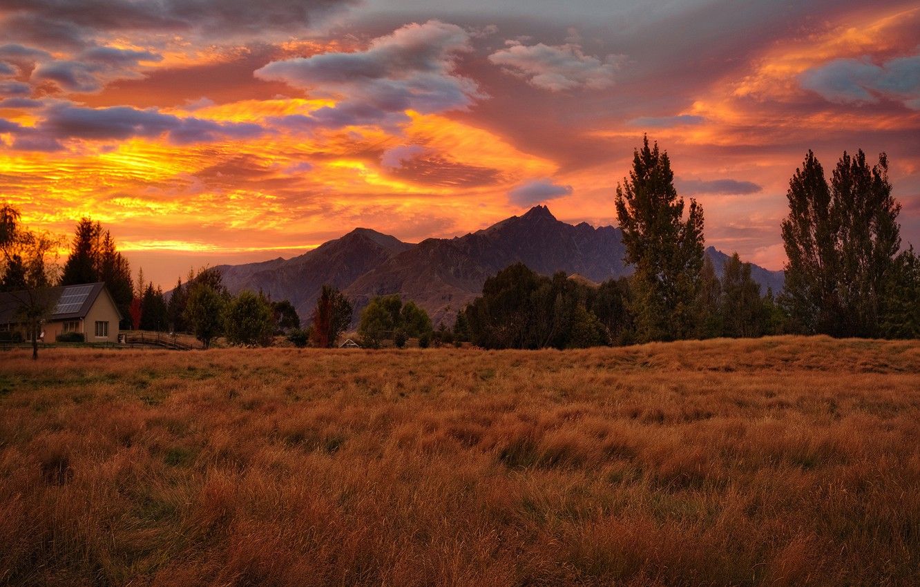 Wallpaper field, autumn, grass, clouds, trees, landscape, sunset