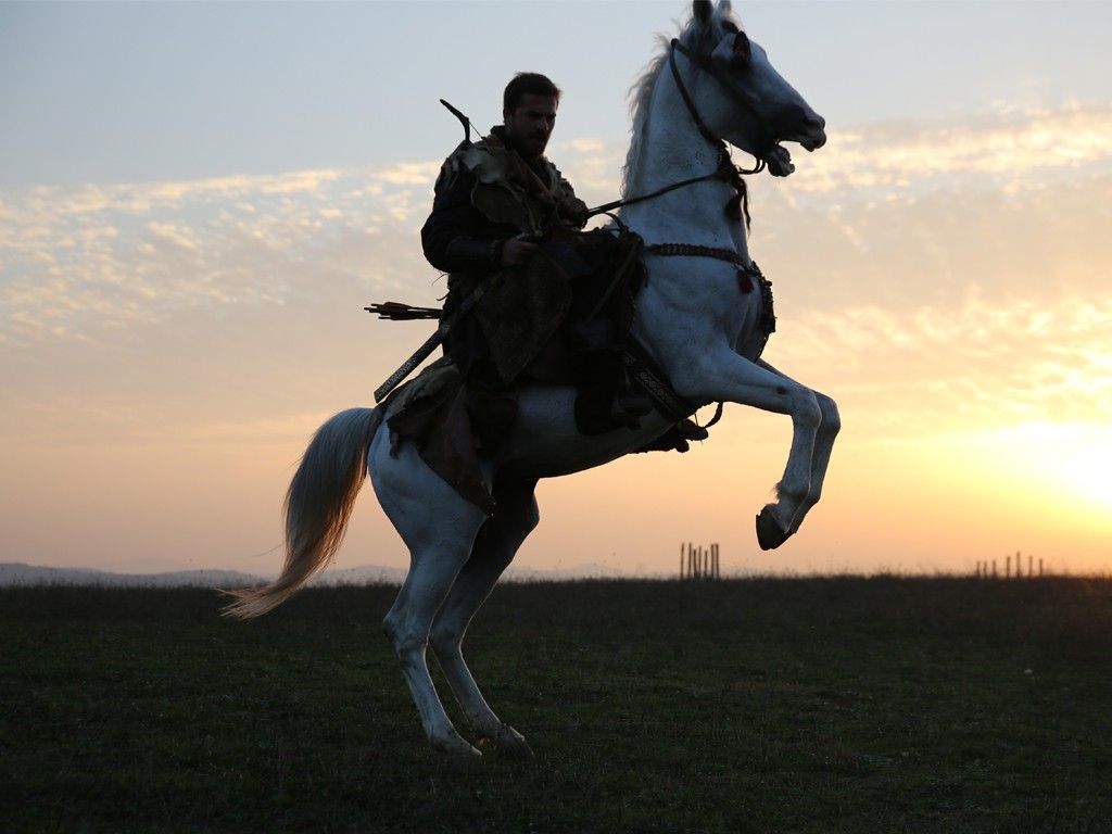 Ertugrul Horse Wallpaper Free HD Wallpaper