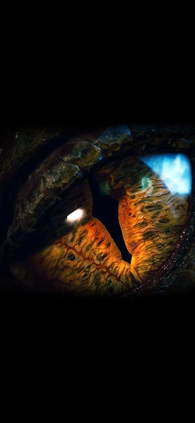 Eye dragon film hobbit iPhone X Wallpaper Free Download