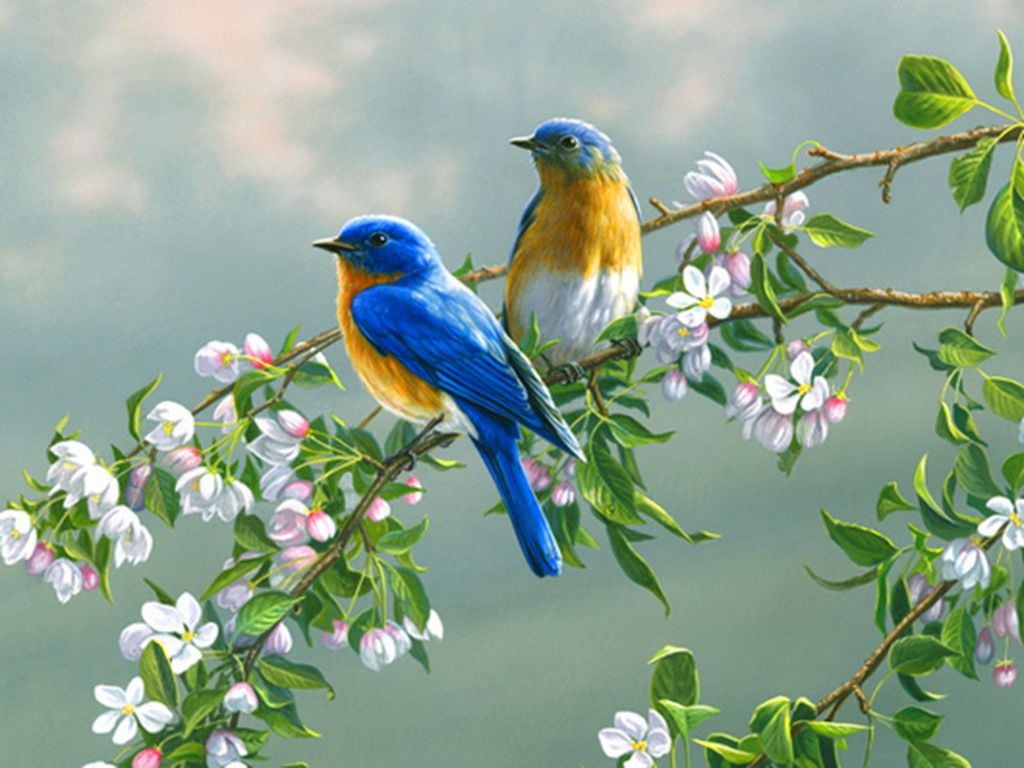 Spring Birds and Flowers Wallpaper