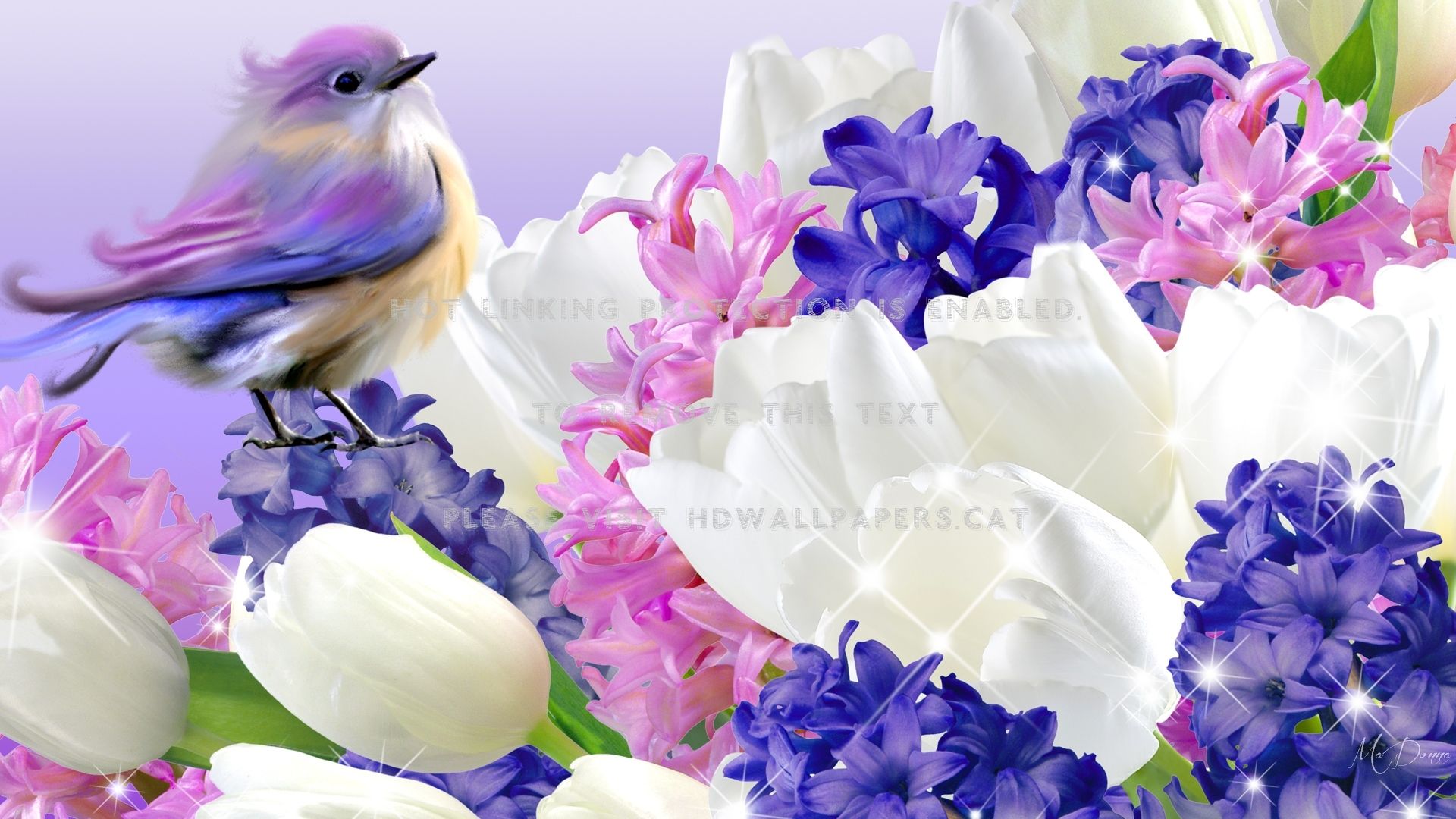 spring flowers and bird purple tulips
