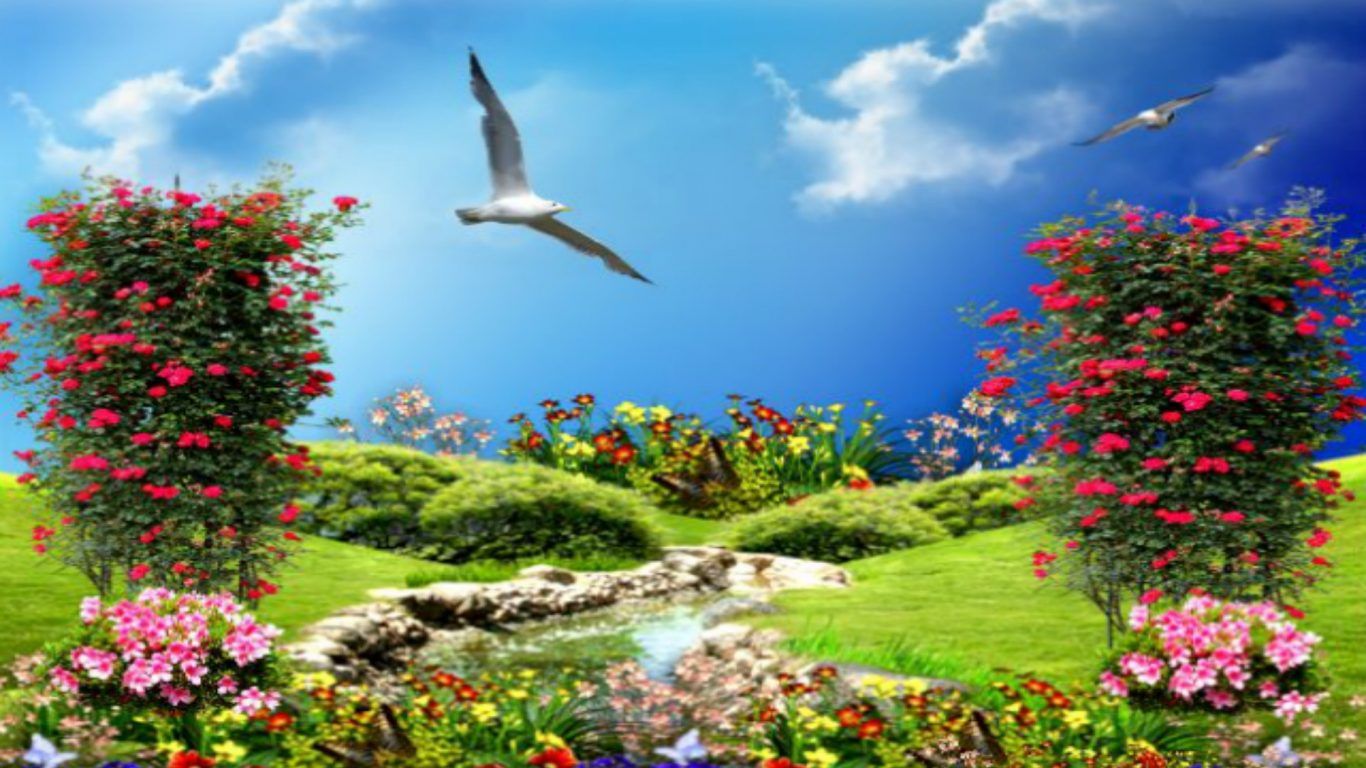 Wallpaper With Flowers And Birds Hy44i81 Flowers With