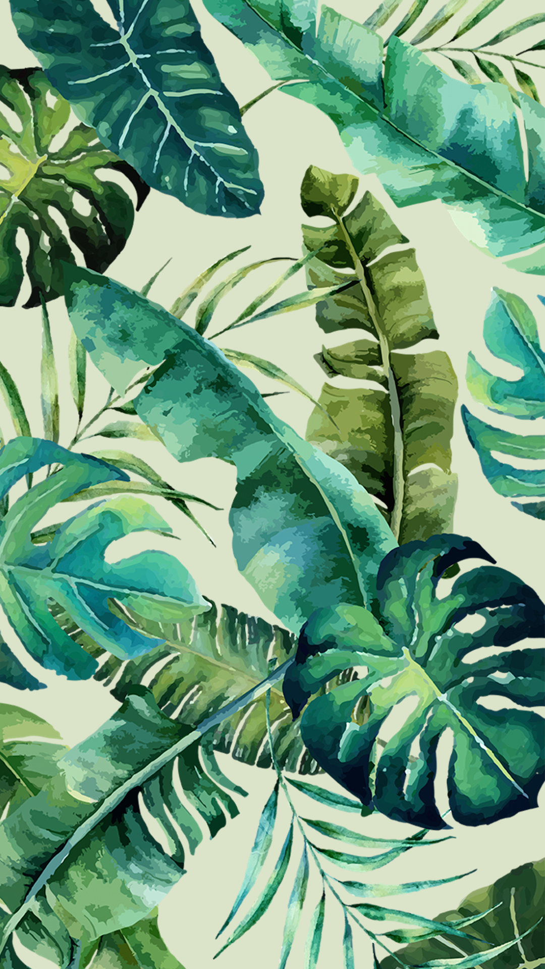 Monstera Deliciosa Wallpapers - Wallpaper Cave