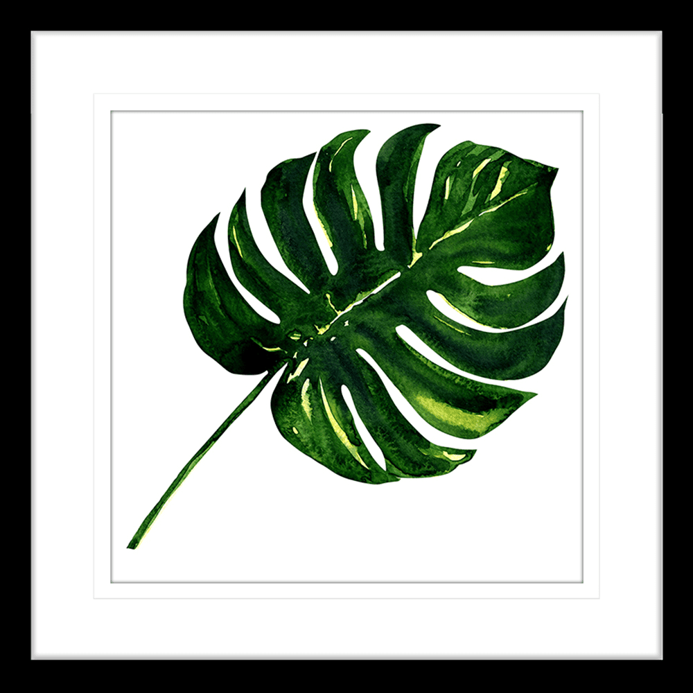 Flora & Fauna Deliciosa Illustration