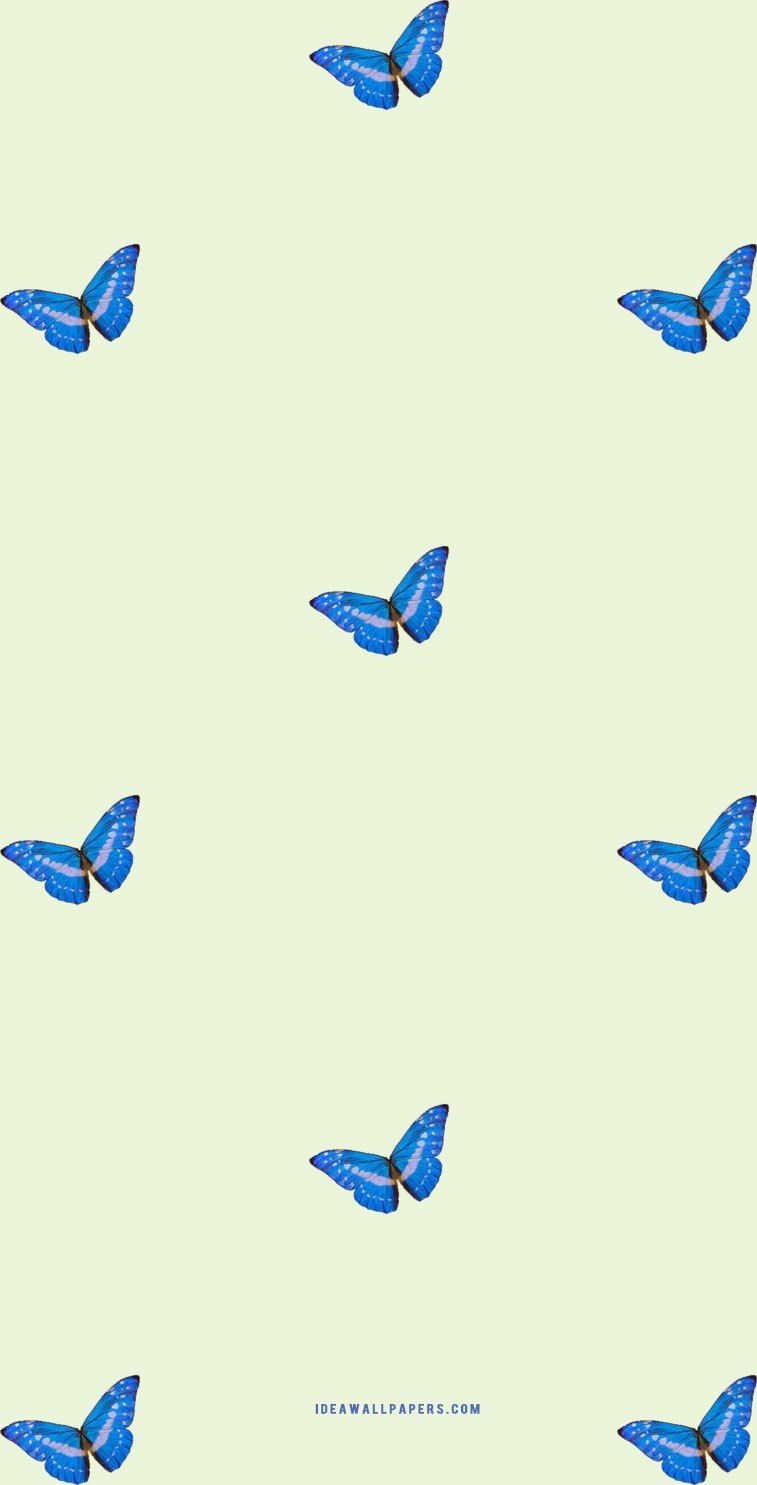 Butterfly on light lime green background Wallpaper
