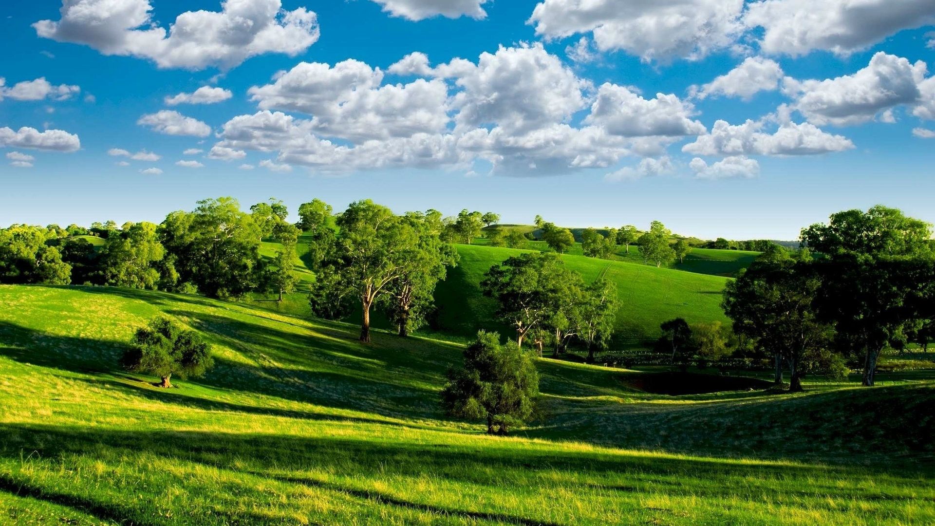 Green Hills Wallpaper