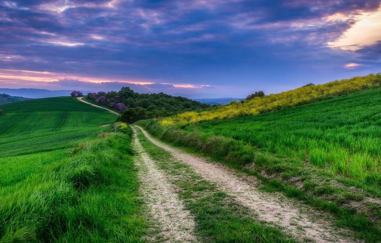 Wallpaper the sky, nature, road, beautiful, hills, summer, grass