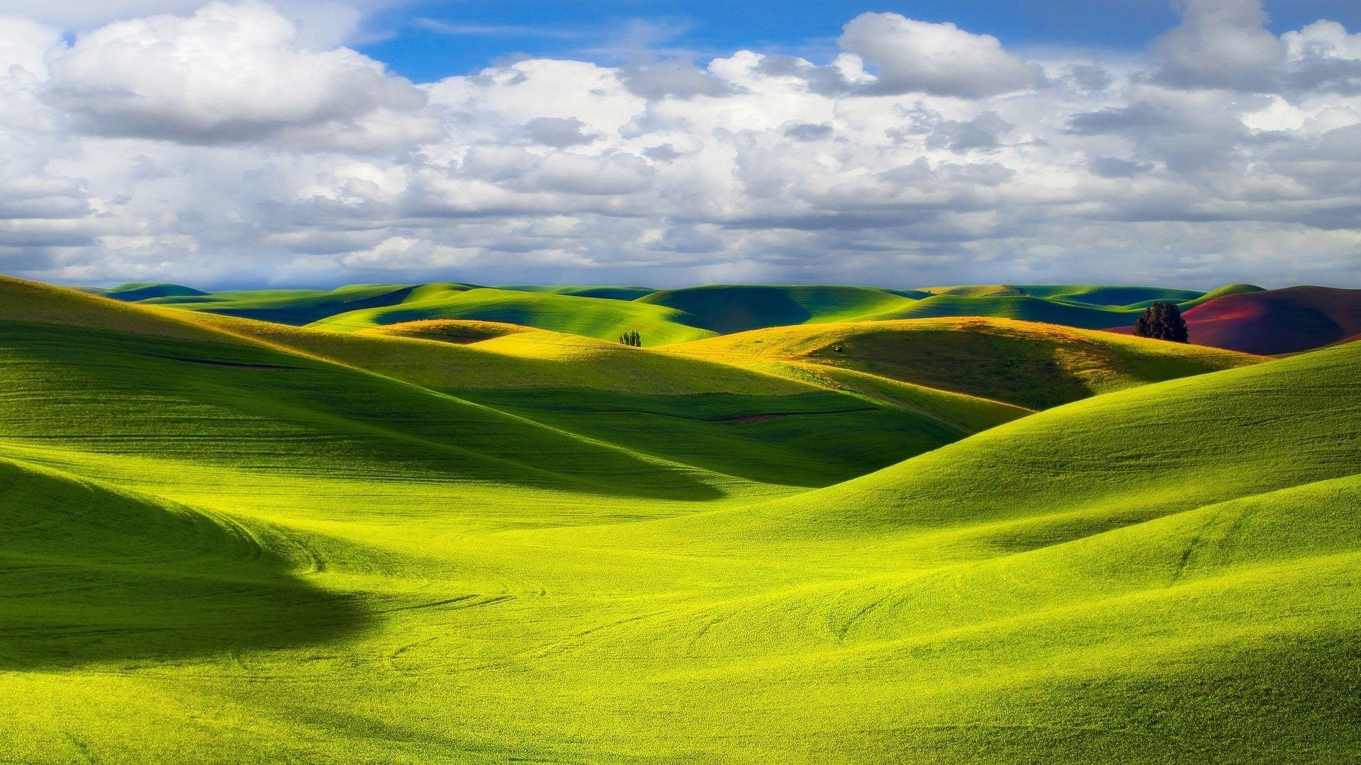 Green Hills Wallpaper