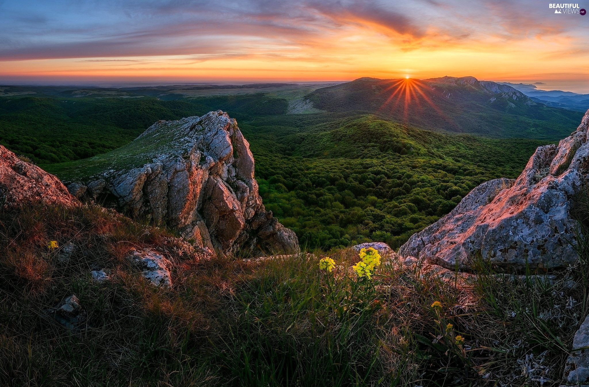 woods, Plants, The Hills, rocks, rays of the Sun views