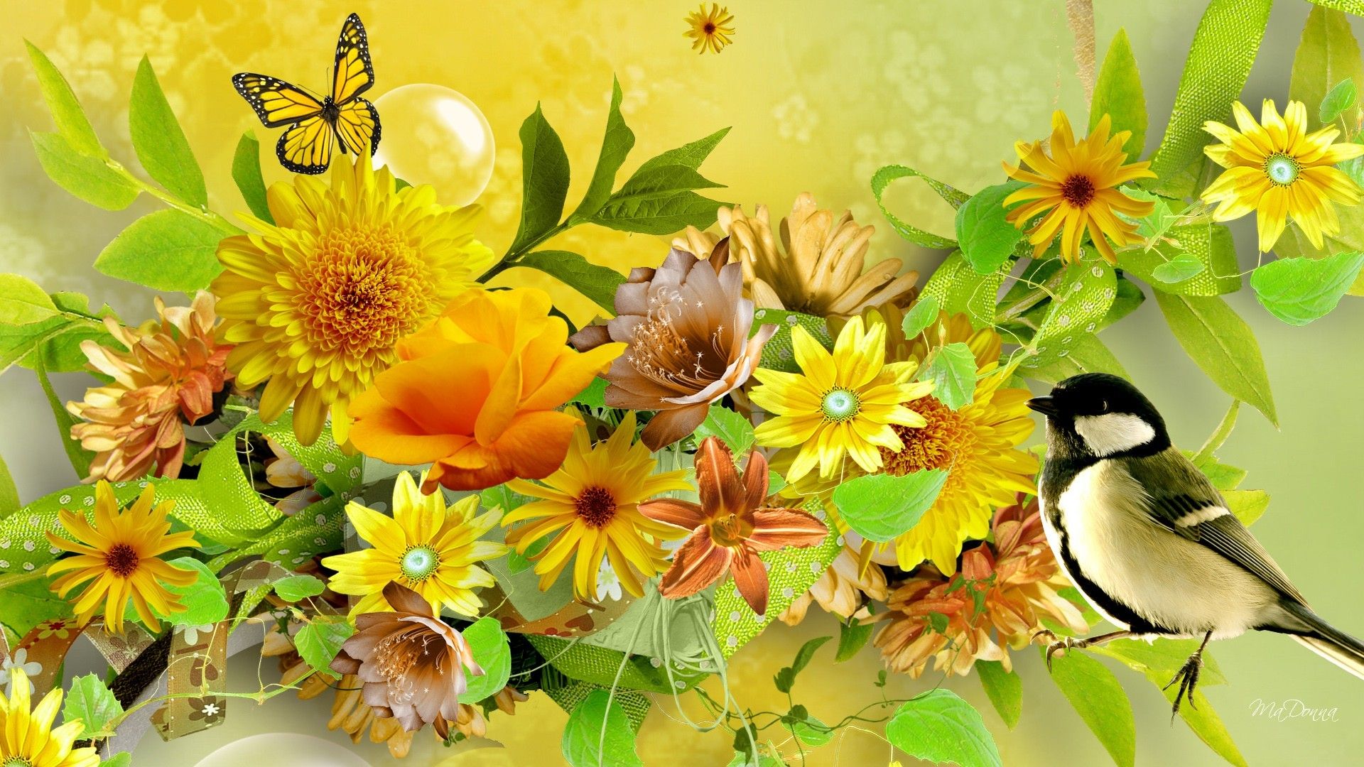 Spring Collage HD Wallpaper. Background Imagex1080