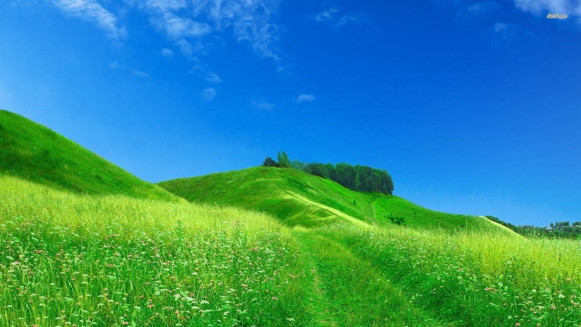 Green Hills Wallpaper