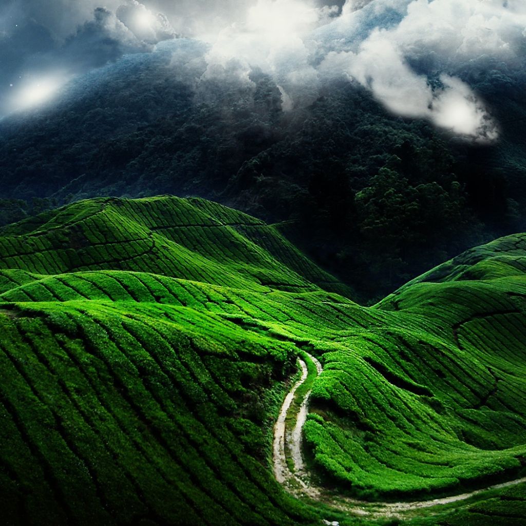 The beautiful green hills Desktop wallpaper 1024x1024
